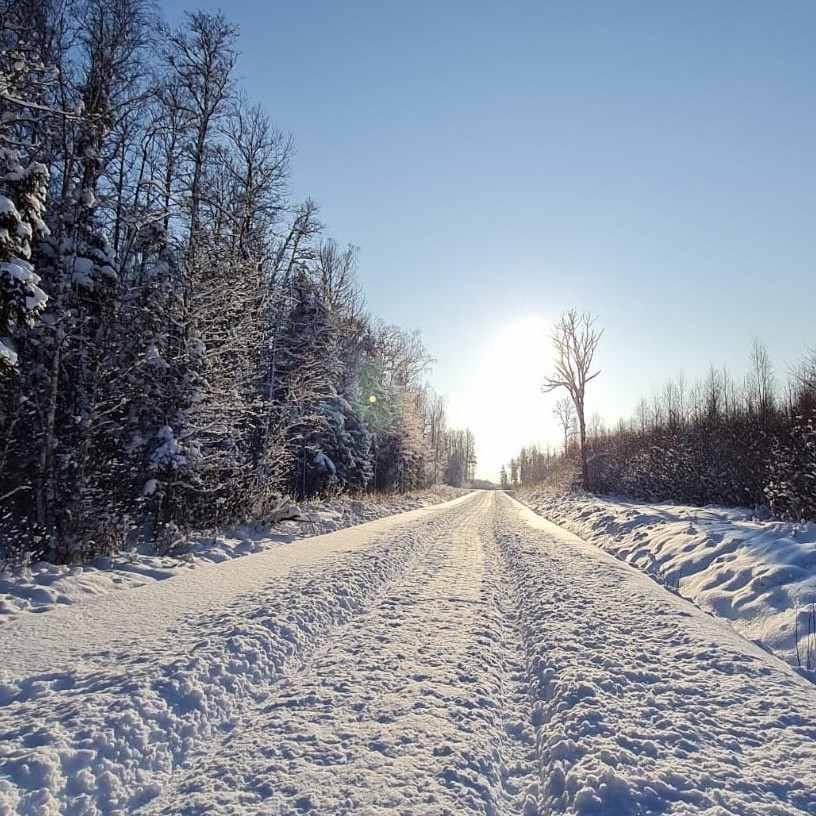 Meža ceļš ziemā