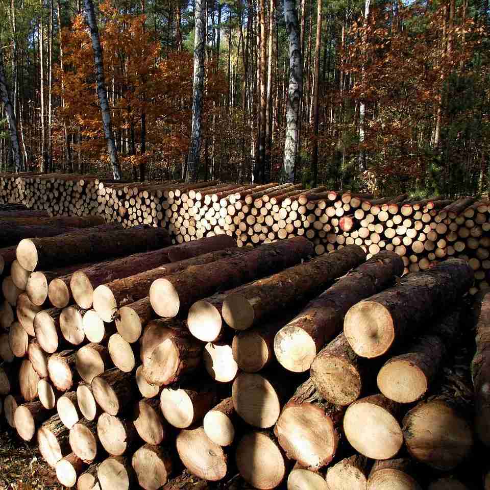 Baļķu kaudzes