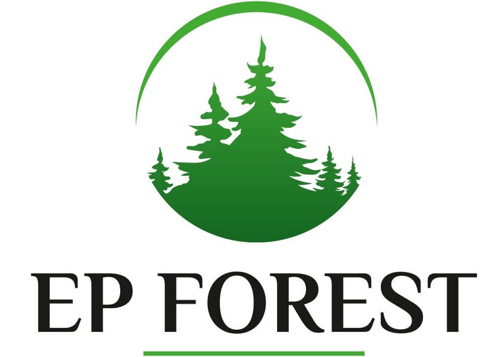 EP forest logotips