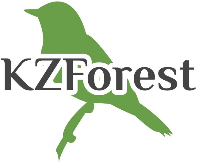 KZ forest